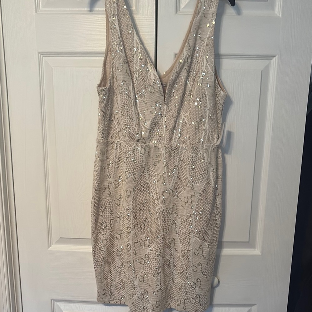 Elegant Sequin Beige Dress